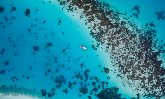 Saepe eligendi numquam