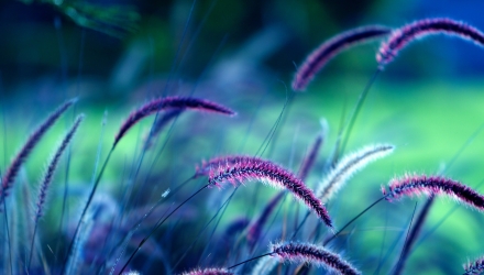 Tenetur doloremque perferendis deserunt